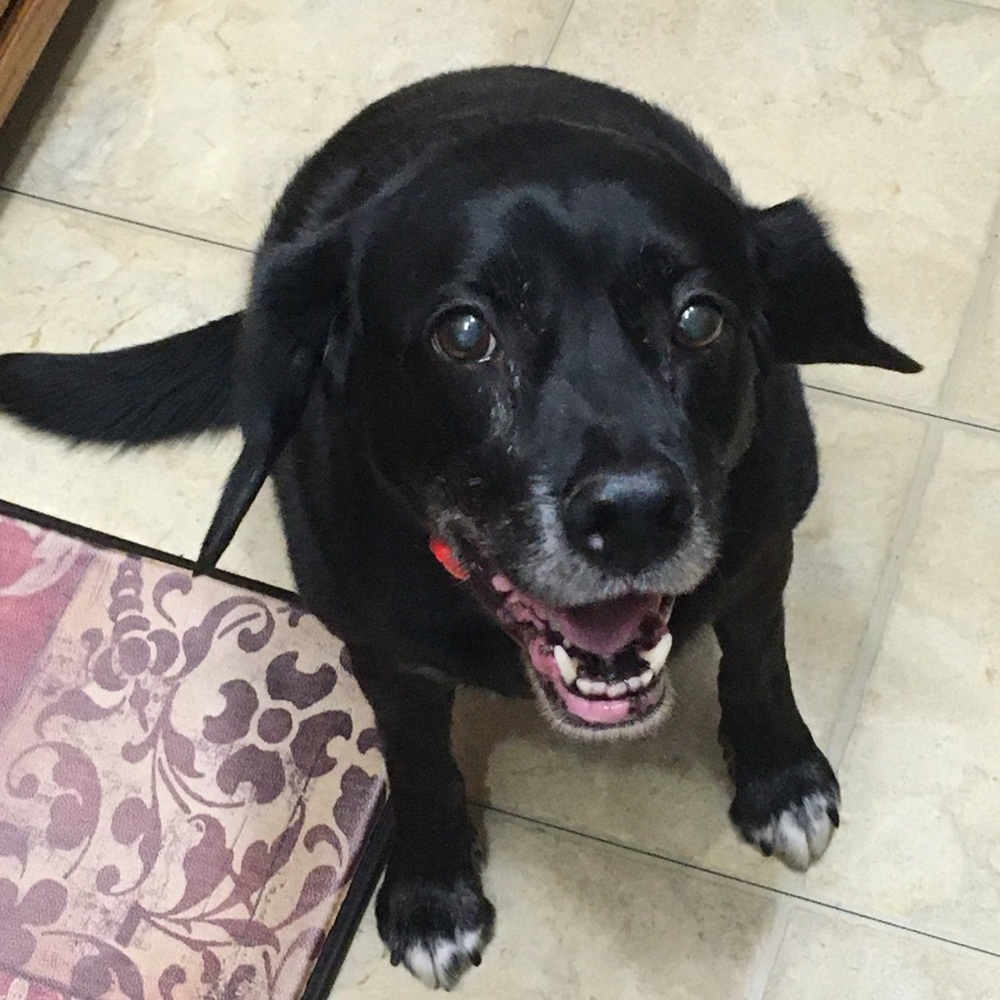 Meet your Posher, Toni